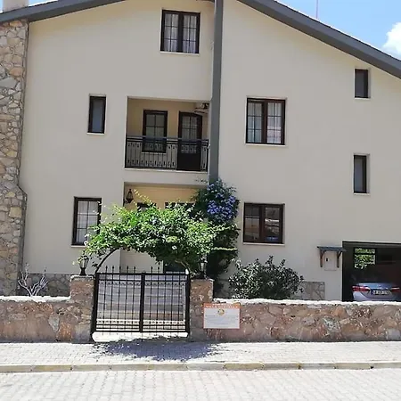 Dantella マルマリス